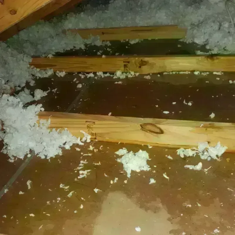 Attic Water Damage in East Millinocket, ME